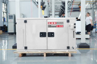 工廠直銷15千瓦柴油發(fā)電機(jī) 穩(wěn)定動(dòng)力的可靠選擇