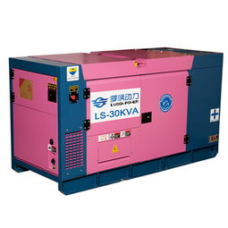 羅颯25kw靜音柴油發(fā)電機(jī) 高效可靠的機(jī)械設(shè)備租賃解決方案