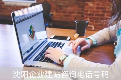 沈陽(yáng)企業(yè)建站咨詢與網(wǎng)絡(luò)技術(shù)開(kāi)發(fā)服務(wù)指南